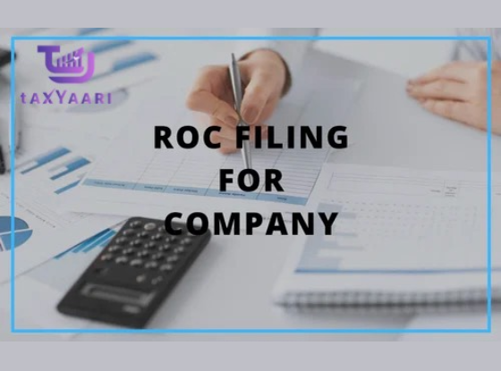ROC Annual Filings for Company