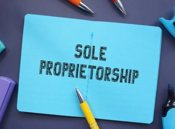 Sole Proprietor